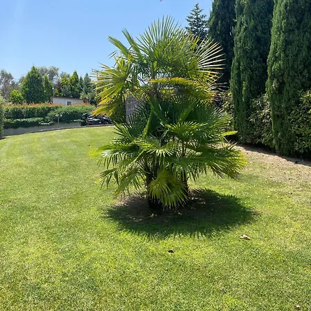 Willa Serenity Large Neo Epivates